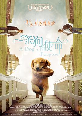 搬淫家永久发布页